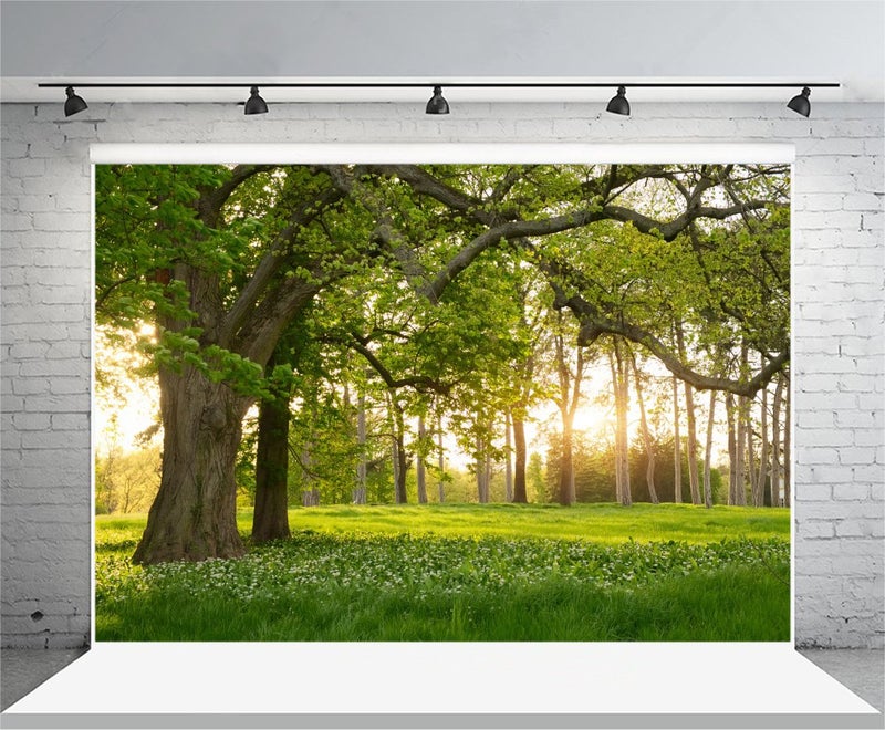 Leowefowa 7X5FT Spring Backdrop Rural Forest Trees Backdrops for Photography Blooming Flowers Green Grassland Nature Vinyl Photo Background Kids Adults Outdoor Travel Portraits Studio Props - Image 4